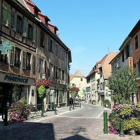 Studio L'Epicea Climatisation Sejour Parfait Soultz-Haut-Rhin Eksteriør bilde