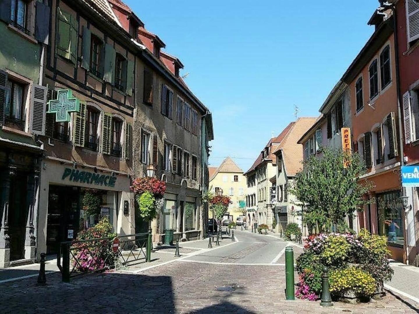 Studio L'Epicea Climatisation Sejour Parfait Soultz-Haut-Rhin Eksteriør bilde